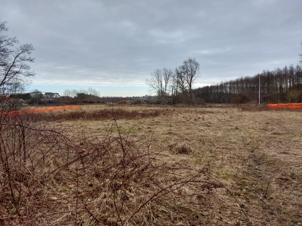Stenåldersboplatsen